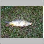 C.Lhota  4.4.2008 9-05-09.JPG